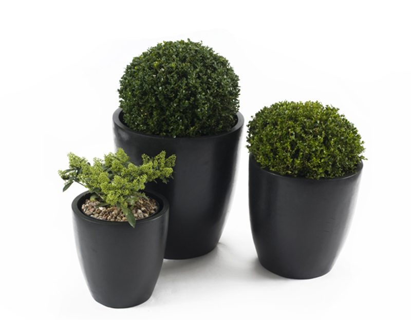 Black Ceramic Planters 1