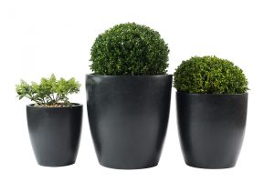 Black Ceramic Planters 2