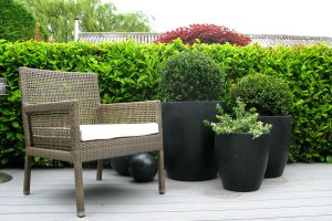 Black Ceramic Planters 3