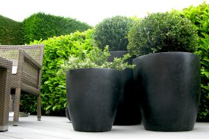 Black Ceramic Planters 5