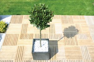 Contemporary Cube Planters 1