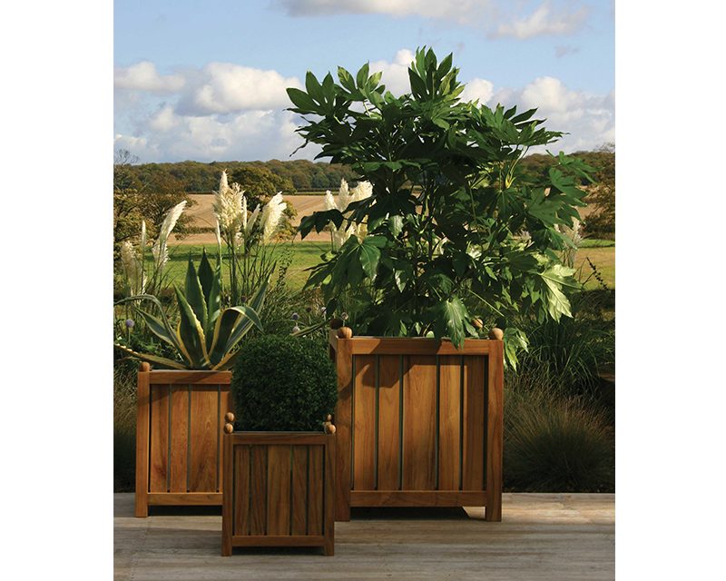 Teak Planters 1