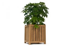 Teak Planters 2